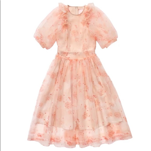 Simone Rocha h&m puff sleeve tulle dress szS - Picture 2 of 2